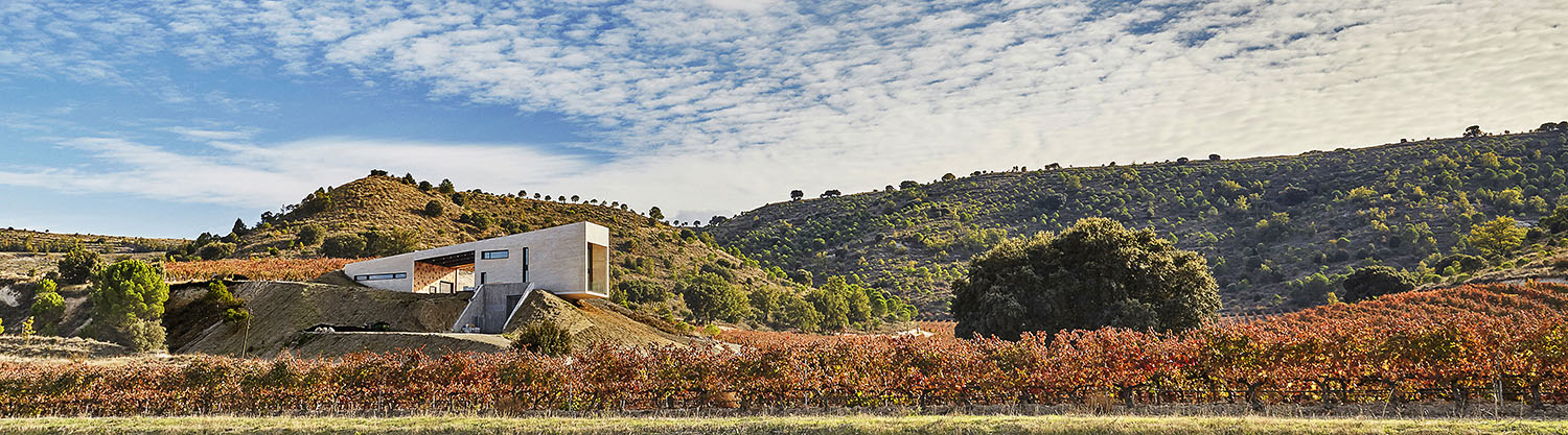bodega valdemonjas exterior viñedos