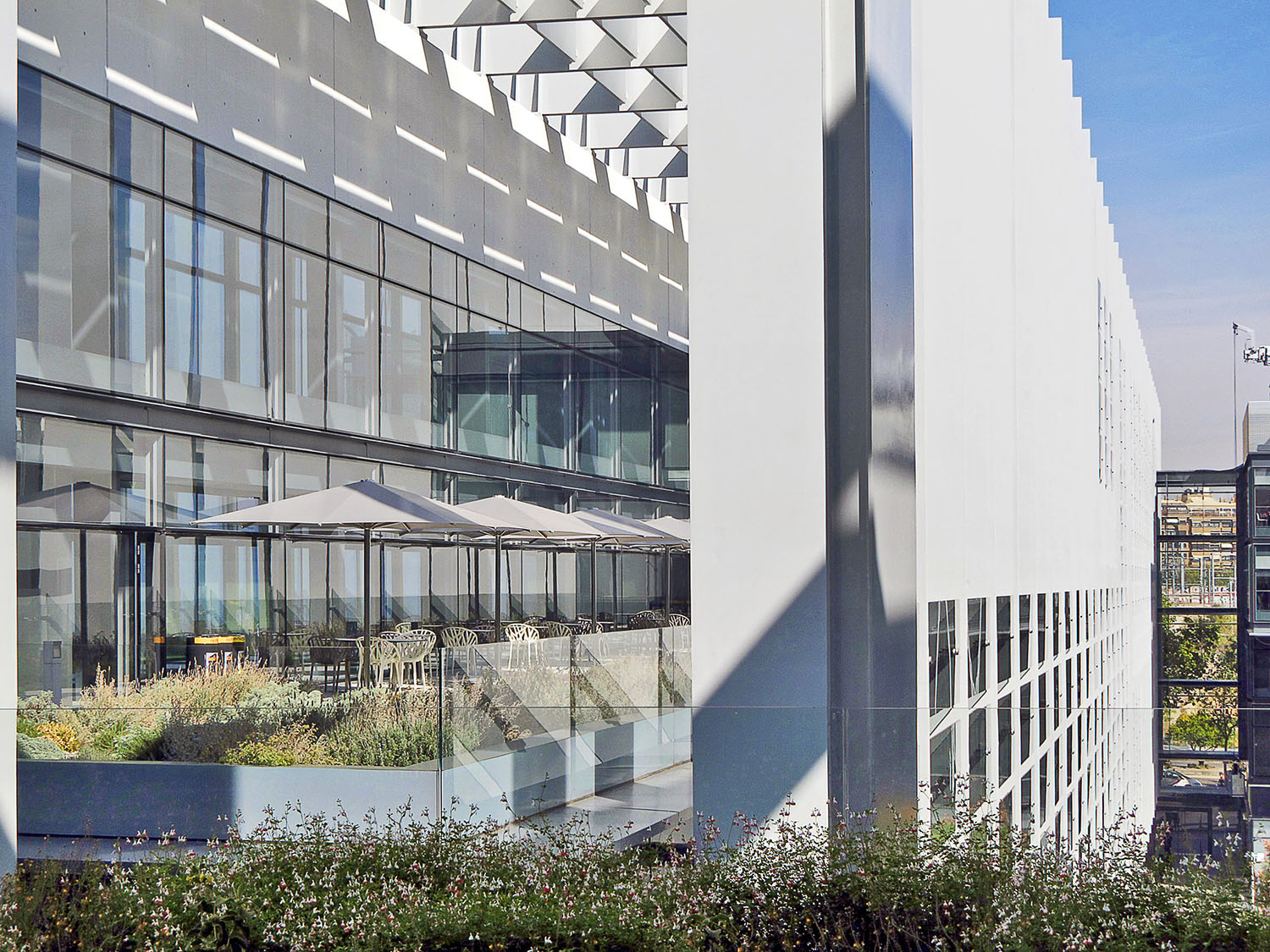 repsol campus terrazas