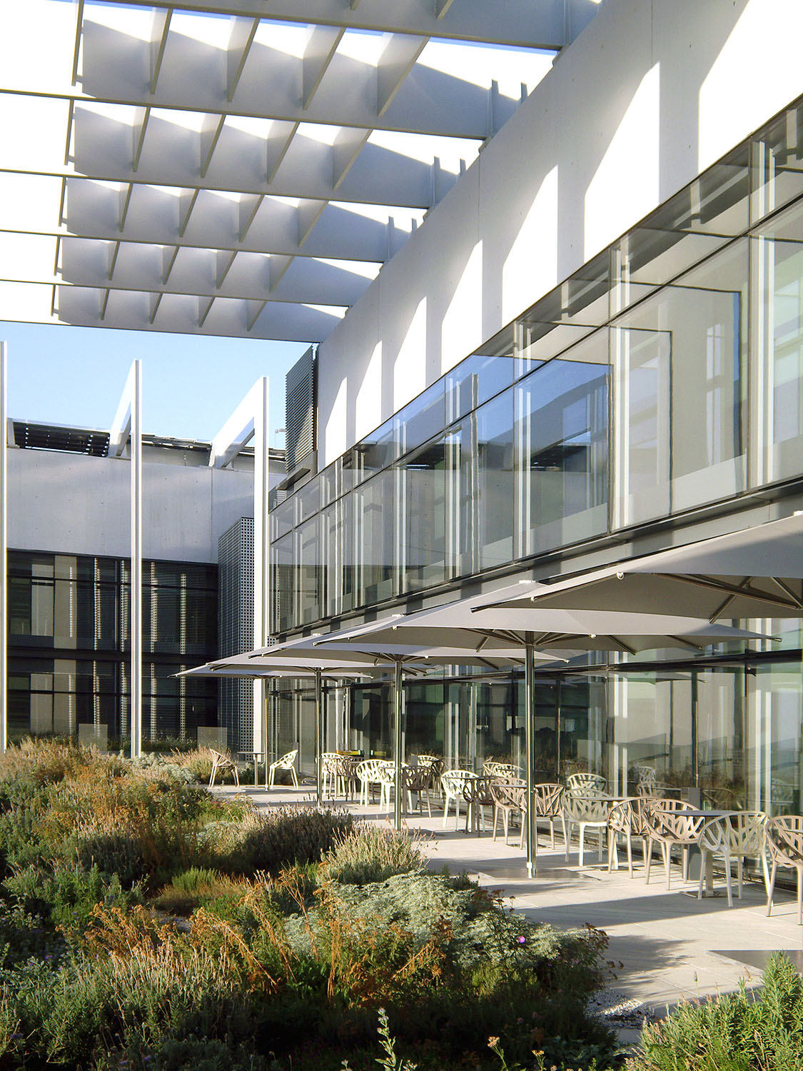 repsol terraza oficinas