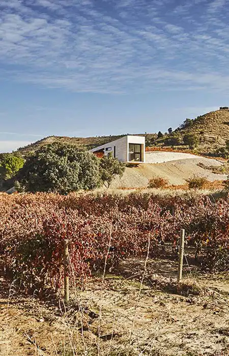 VALDEMONJAS Bodega